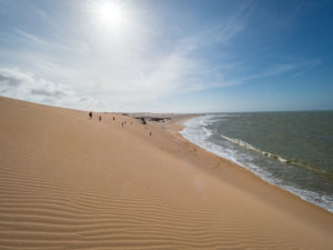 Découvrez le désert de la Guajira