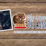 La Route des Explorateurs au Québec : nature et aventure avec Refuse To Hibernate