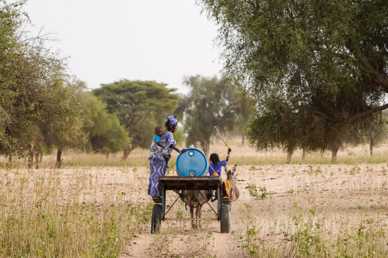 Premier voyage au Sénégal pour Explore le monde