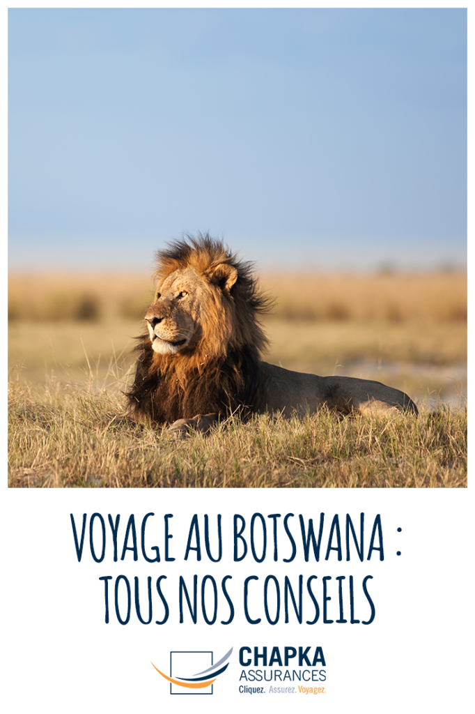 BOTSWANA_VOYAGE_1