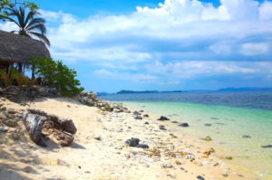 5 conseils pour voyager de façon plus écologique