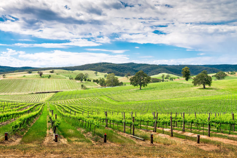 Les meilleures destinations dans le monde pour déguster du vin
