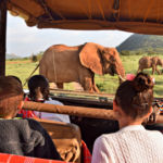 Visa, autorisation de voyage électronique et assurance voyage au Kenya, mode d’emploi