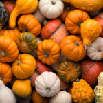 Halloween : focus sur la citrouille dans le monde
