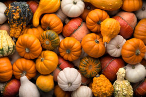 Halloween : focus sur la citrouille dans le monde