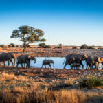 Voyage en Namibie : les conseils de Cora du blog « The Path She Took »