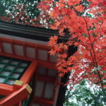 5 belles expériences à vivre au Japon