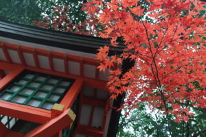 5 belles expériences à vivre au Japon