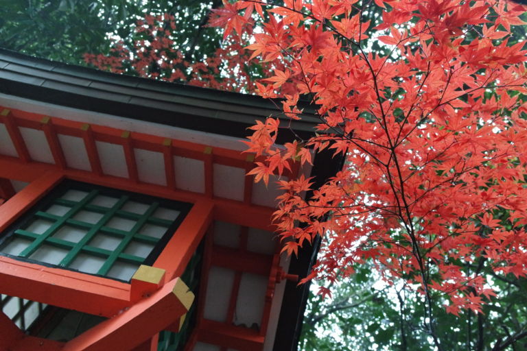 5 belles expériences à vivre au Japon