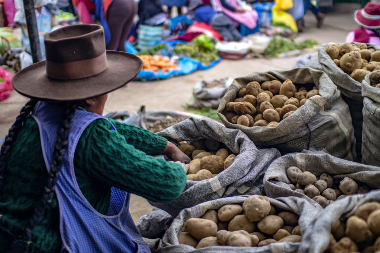 Comment est cuisinée la pomme de terre dans le monde ?