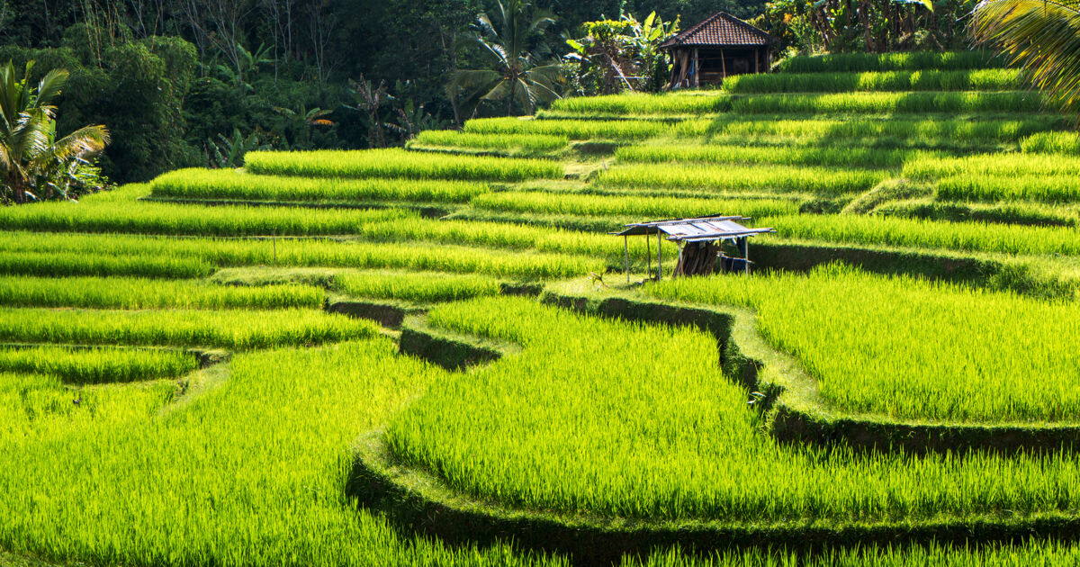 Comment obtenir une attestation d'assurance Covid pour votre voyage à Bali ?