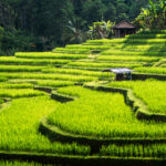 Quelle assurance voyage pour des vacances à Bali ?