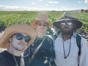 A la recherche du rêve australien : Le PVT Australie de Silvère et Mathieu