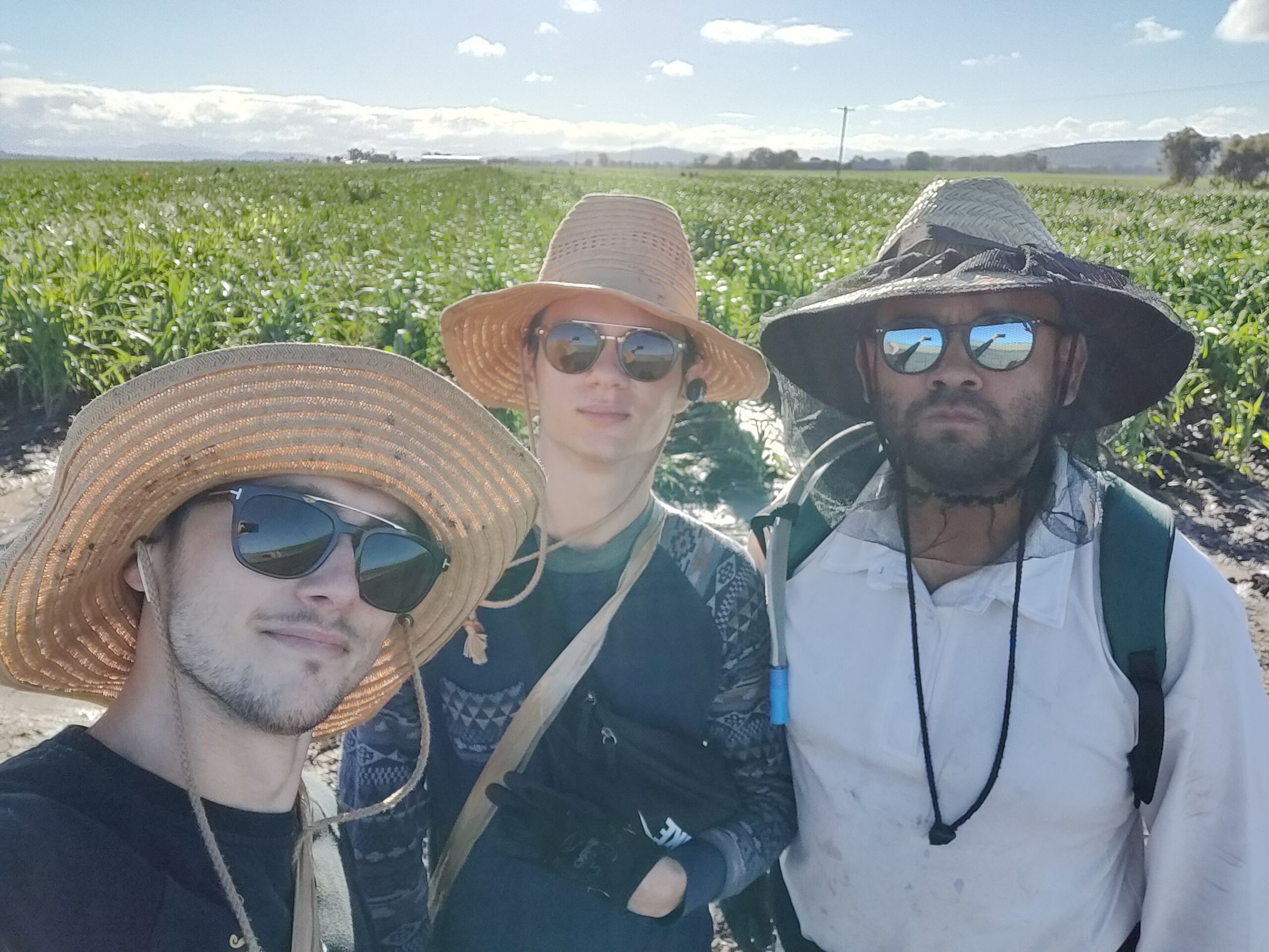 A la recherche du rêve australien : Le PVT Australie de Silvère et Mathieu