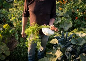 Foodorama, un voyage au cœur de l’alimentation durable