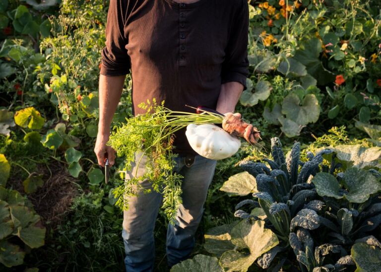 Foodorama, un voyage au cœur de l’alimentation durable