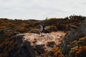 L’Australie retrouve des couleurs depuis la réouverture du PVT !