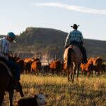 Dormir dans un ranch aux USA, mode d’emploi