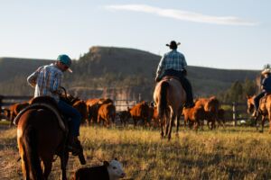 Dormir dans un ranch aux USA, mode d’emploi
