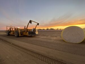 La vie professionnelle en PVT Australie, par Overglobe