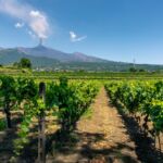 Les vignobles insolites à découvrir dans le monde