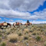 Parcourir les Andes à cheval, le défi de Paul et Justine