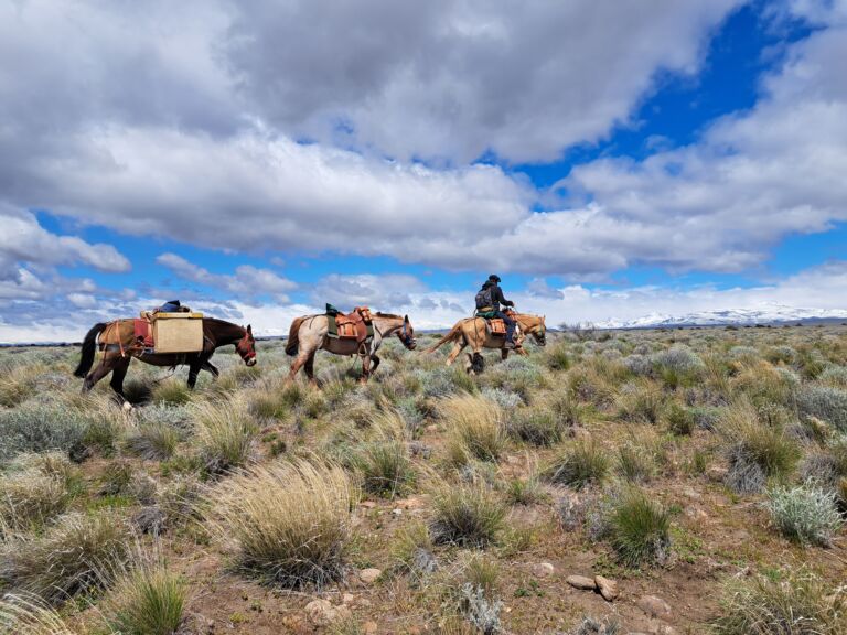Parcourir les Andes à cheval, le défi de Paul et Justine