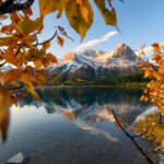 Notre comparatif des meilleures assurances PVT