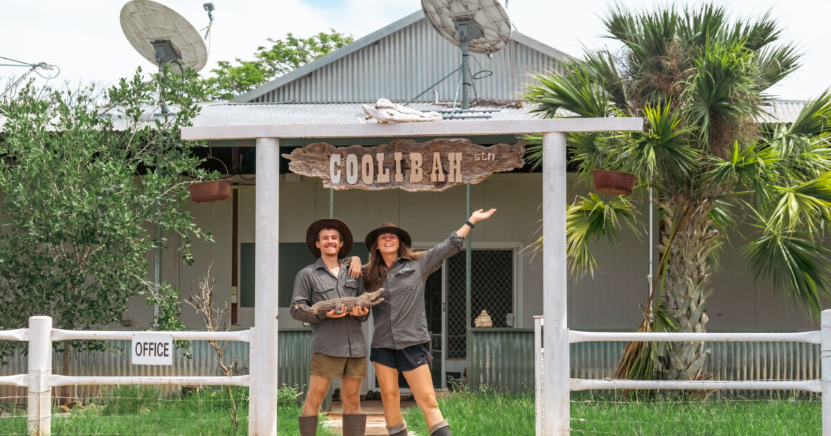 Travailler dans une ferme de crocodile en Australie, l'expérience PVT de Roxy et Tommy