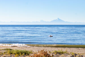 Visiter Chiloé, l’île du bout du monde