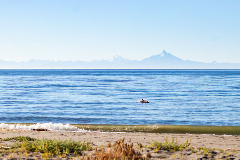 Visiter Chiloé, l’île du bout du monde