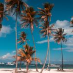 Faut-il un visa pour la République Dominicaine ?