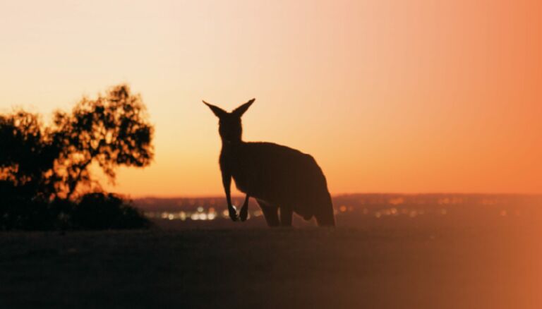 Australie, Working Holiday, l’expérience d’une vie [TEASER]