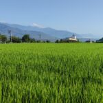 Les 10 spots nature à voir à Taïwan