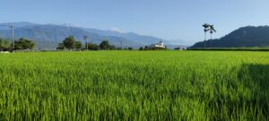 Les 10 spots nature à voir à Taïwan
