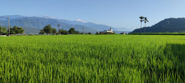 Les 10 spots nature à voir à Taïwan