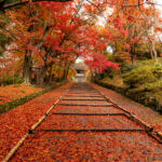 Que faire à Kyoto, 8 lieux méconnus