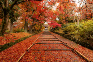 Que faire à Kyoto, 8 lieux méconnus