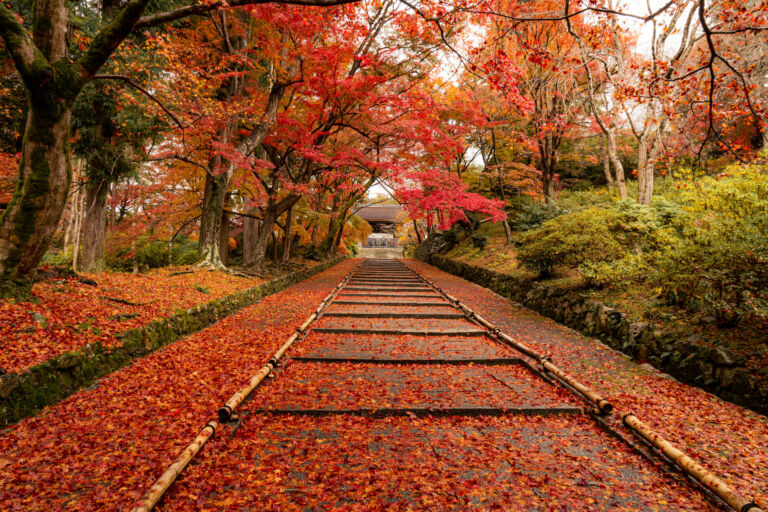 Que faire à Kyoto, 8 lieux méconnus