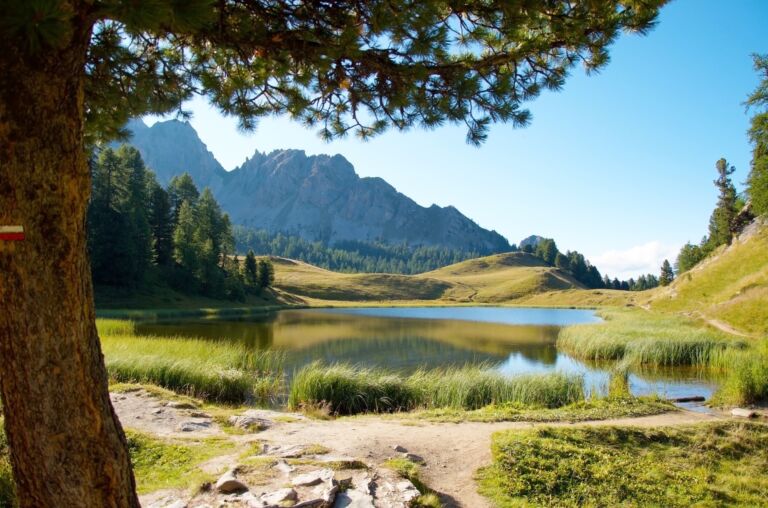10 raisons de choisir La Vie Sauvage pour vos prochaines vacances