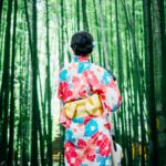 JESTA, l’autorisation de voyage électronique, indispensable pour visiter le Japon à partir de 2028