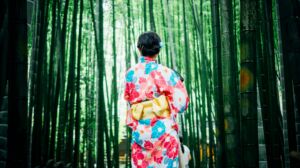 JESTA, l’autorisation de voyage électronique, indispensable pour visiter le Japon à partir de 2028