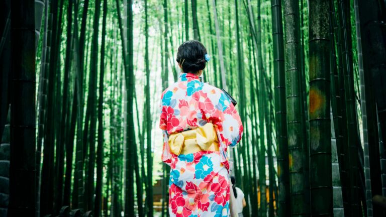 JESTA, l’autorisation de voyage électronique, indispensable pour visiter le Japon à partir de 2028