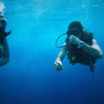Les meilleurs endroits pour faire de la plongée sous-marine dans le monde
