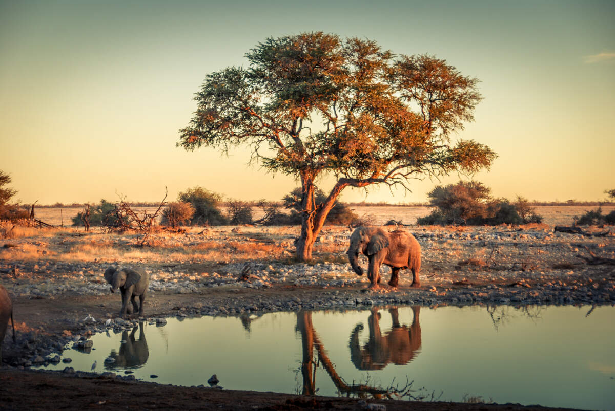 Que faire en Namibie en 15 jours ?