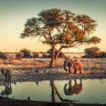 Que faire en Namibie ?