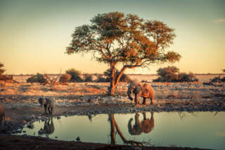 Que faire en Namibie ?