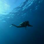 Les meilleurs sites de plongée aux Philippines