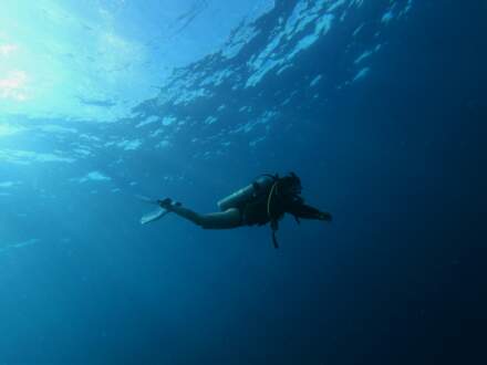 Les meilleurs sites de plongée aux Philippines