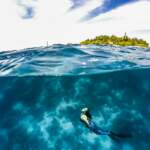 Nos conseils pour organiser votre plongée aux Maldives